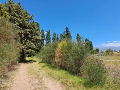 Terreno en Venta de 2000,0 m2