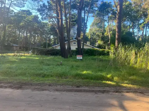 Coronel De Marina Leandro Rosales 100