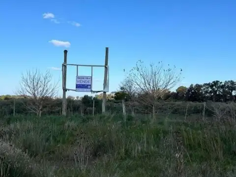 VENTA LOTE SOBRE  Ruta 5 – Ideal Desarrollo o Inversión | Mercedes, Bs As – Acepta Permuta