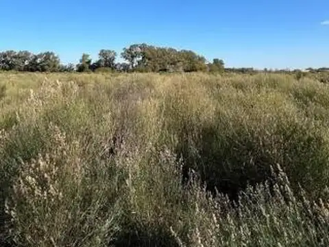 Terreno en Venta de 7700,0 m2