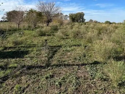 Terreno en Venta 50  mts Frente
