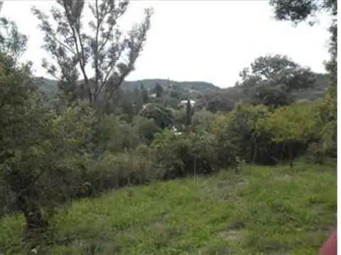 Santa Rosa 300