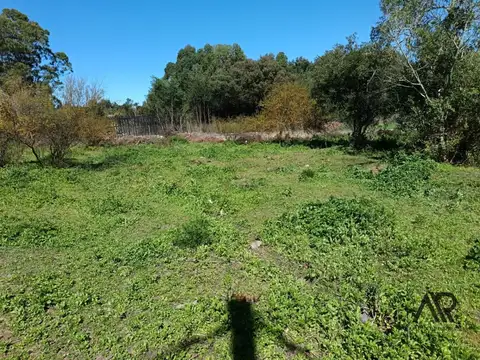 Terreno en Venta 40  mts Frente