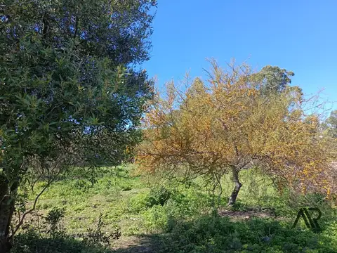 Terreno en Venta 18  mts Fondo