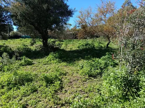 Terreno en venta de 737m2 ubicado en Piriápolis