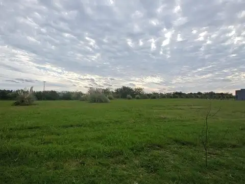 Terreno en Venta en Los Juncos, USD 17.800