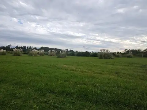 Barrio Cerrado Los Juncos