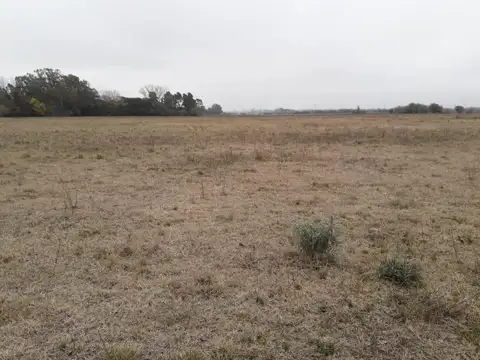 Terreno en Venta de 587,0 m2