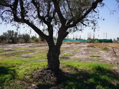 Terreno en Venta de 3700,0 m2