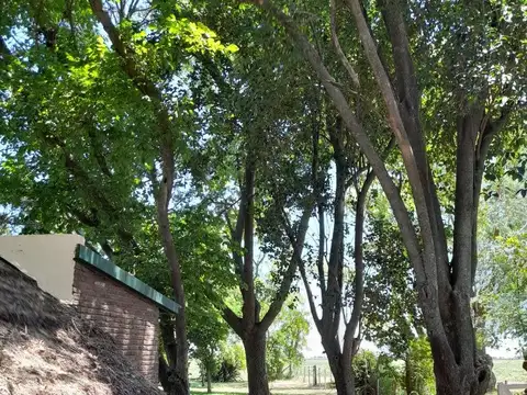 Alquiler casa de campo .Areco