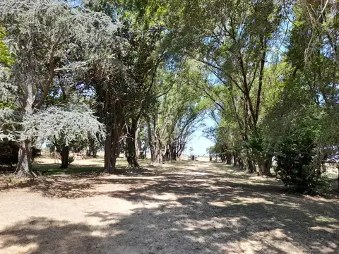Alquiler casa de campo .Areco