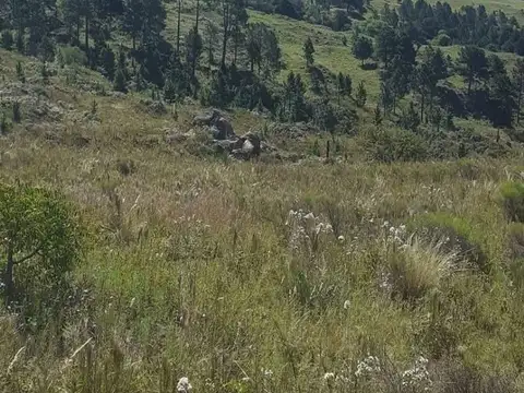 Terreno en Venta de 1944,0 m2