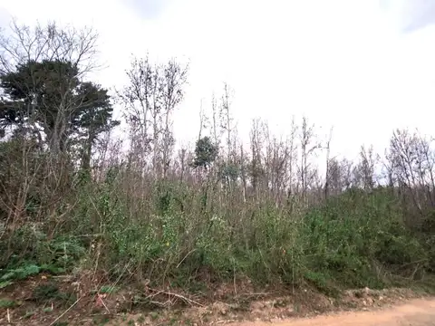 Terreno en Venta de 1944,0 m2
