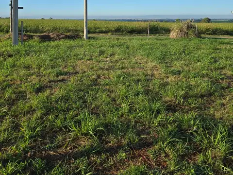 Terreno en Venta 40  mts Fondo