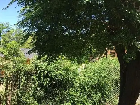 Casa en Alquiler 2 años