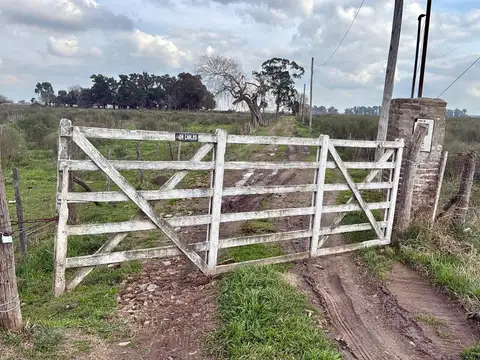 Campo en San Vicente 24 Hectareas