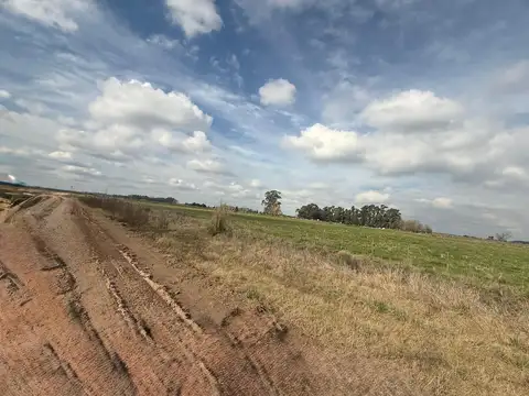 Campo en San Vicente 24 Hectareas