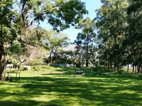 Campo en San Vicente 24 Hectareas