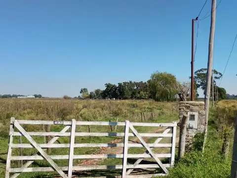 San Vicente Ruta Provincial  16 24 Hectáreas
