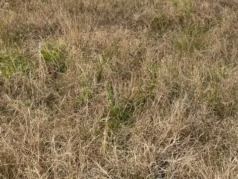 Terreno en Venta 30  mts Fondo