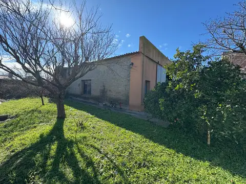GALPON – CASA – DEPENDENCIA – LOBOS
