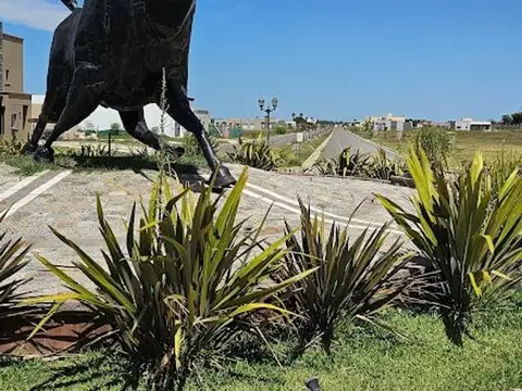Terreno en Venta 30  mts Fondo