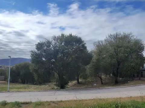 Terreno en Venta de 1482,0 m2