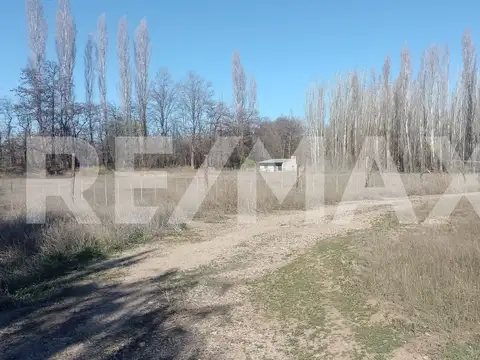 Chacra 7,5 hectareas con brazo de rio