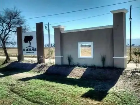El Mollar II. Mza 18. Lote 100