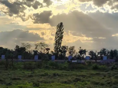 Terreno en Venta de 800,0 m2