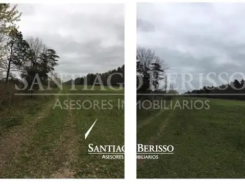 Terreno Campo  en Venta en Campana, G.B.A. Zona Norte, Argentina