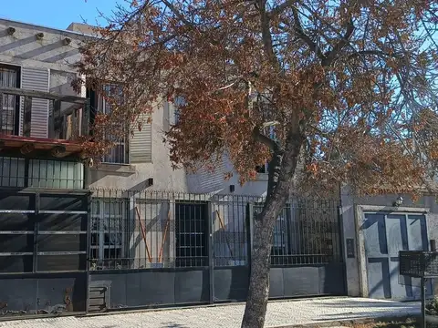LAS VIOLETAS 2600