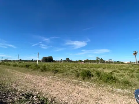 Terreno en Venta de 800,0 m2