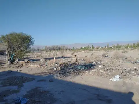 Terreno de 12.500 m2 en Chimbas
