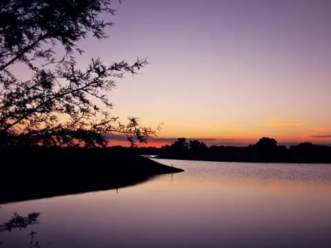 Terreno en Venta de 1250,0 m2