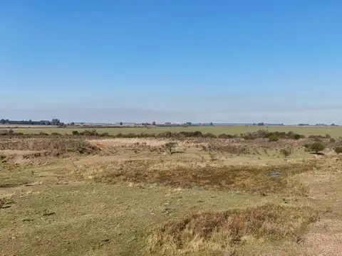 Autovía Ruta 14 Km 184