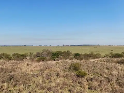 Autovía Ruta 14 Km 184