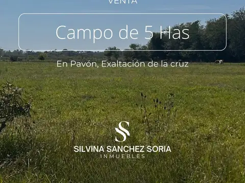 5 HAS EN VENTA, PAVON CERCA DE LOS CARDALES