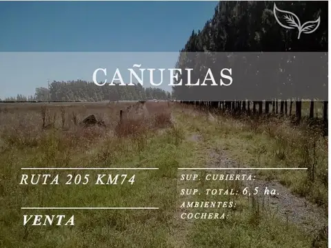 Ruta 205, Km 100