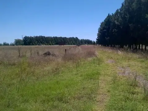 Campo en Venta de 7  ha
