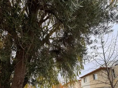 Alquiler Dx En Barrio El Matién, Calle Figueroa 2800