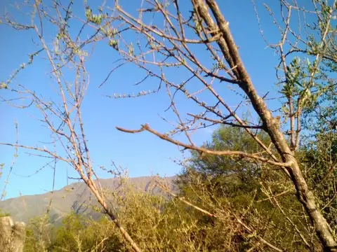 VENTA EN LA TRAVESÍA LUYABA