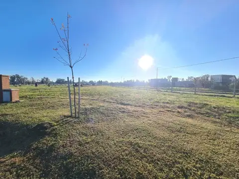 Terreno Lote  en Venta en Santa Sofía, Pilar del Este, Pilar