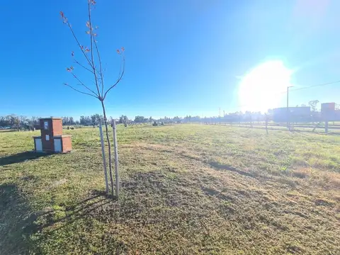 Lote en Venta en Santa Sofía, Pilar del Este 100