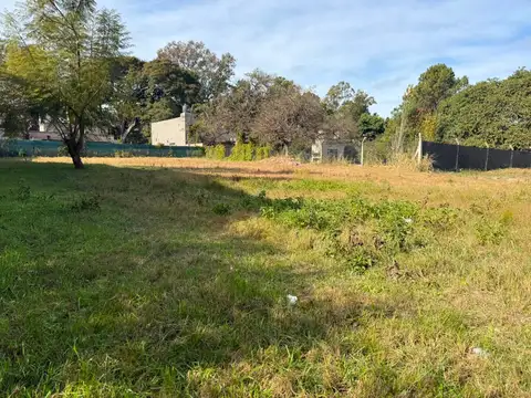 Calle los Alamos