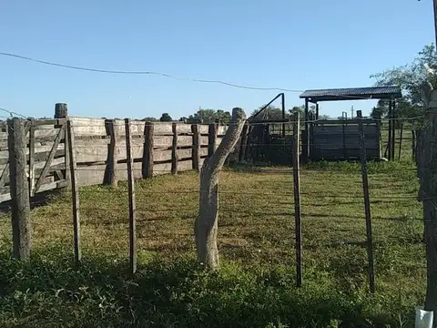 CAMPO 78 HECTAREAS. EXCELEN ZONA AGRICOLA GANADERA  RUTA 26