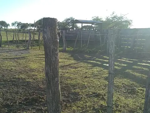 CAMPO 78 HECTAREAS. EXCELEN ZONA AGRICOLA GANADERA  RUTA 26