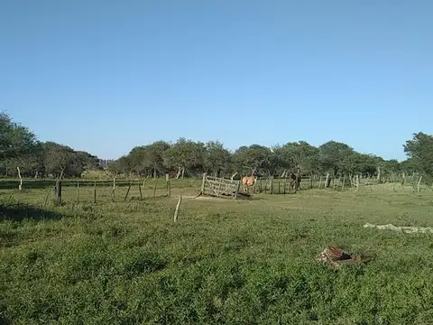 CAMPO 78 HECTAREAS. EXCELEN ZONA AGRICOLA GANADERA  RUTA 26