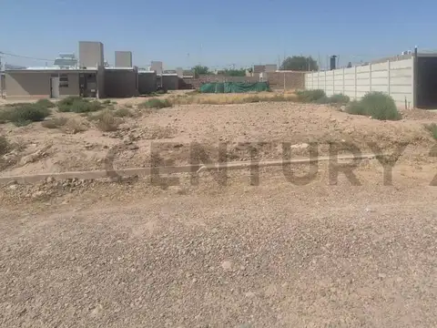 Adolfo Calle , Piso 0