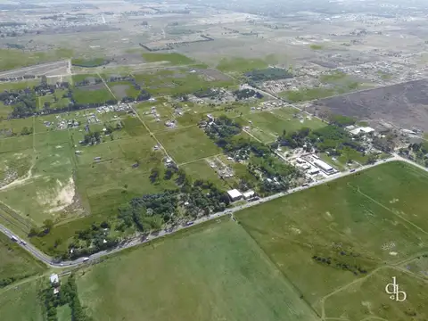 Arbolada del Camino de Las Flores. Ruta 16. Lote AN 24